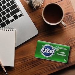 Wrigley's Spearmint Flavoured Mints, 1 Tin - 34 g | Atlantic