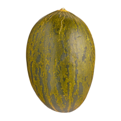 null Melons Santa Claus 1 ea, 4,99 $/1ch