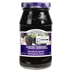 Smuckers Pure Blackberry Jam - 250 ml | Loblaws