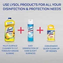 Lysol All Purpose Cleaner, Pour, Orange, Multi Surface Cleaner