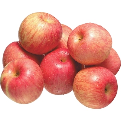 ◾️apple 20310940001_en_front_400.png