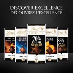 Lindt EXCELLENCE 70% Cacao Dark Chocolate Bar - 100 g | Zehrs