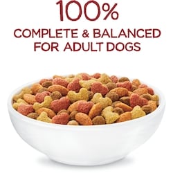who owns orijen dog food Orijen Dry Dog Food