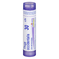 Boiron Homeopathic Medicine Thuja Occidentalis - 80 ea | Atlantic Superstore