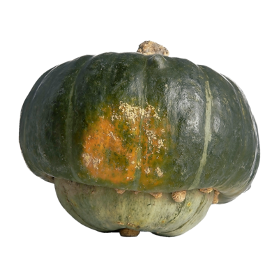 null Courges Buttercup 2,20 $/1kg 1,00 $/1lb