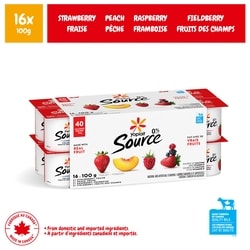 Yoplait Yogourt traditionnel onctueux Source 0 %, saveurs variées, sans sucre ajouté 16x100.0 g, 0,41 $/100g