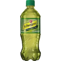 Schweppes Ginger Ale - 591 ml | Provigo