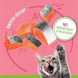 Purina Friskies Pâté Salmon Dinner, Wet Cat Food - 156 g | Zehrs