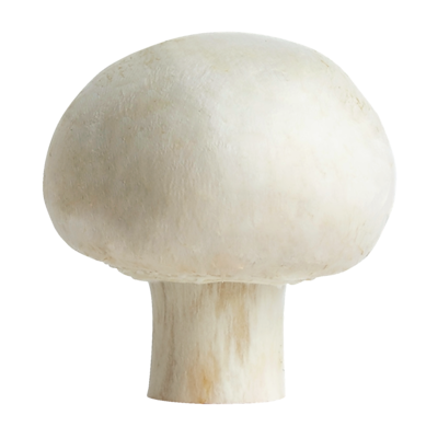 null White Mushrooms, case 1 ea, $5.29/1kg