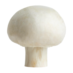 null White Mushrooms, Case 1 ea, $3.85/1kg $1.75/1lb