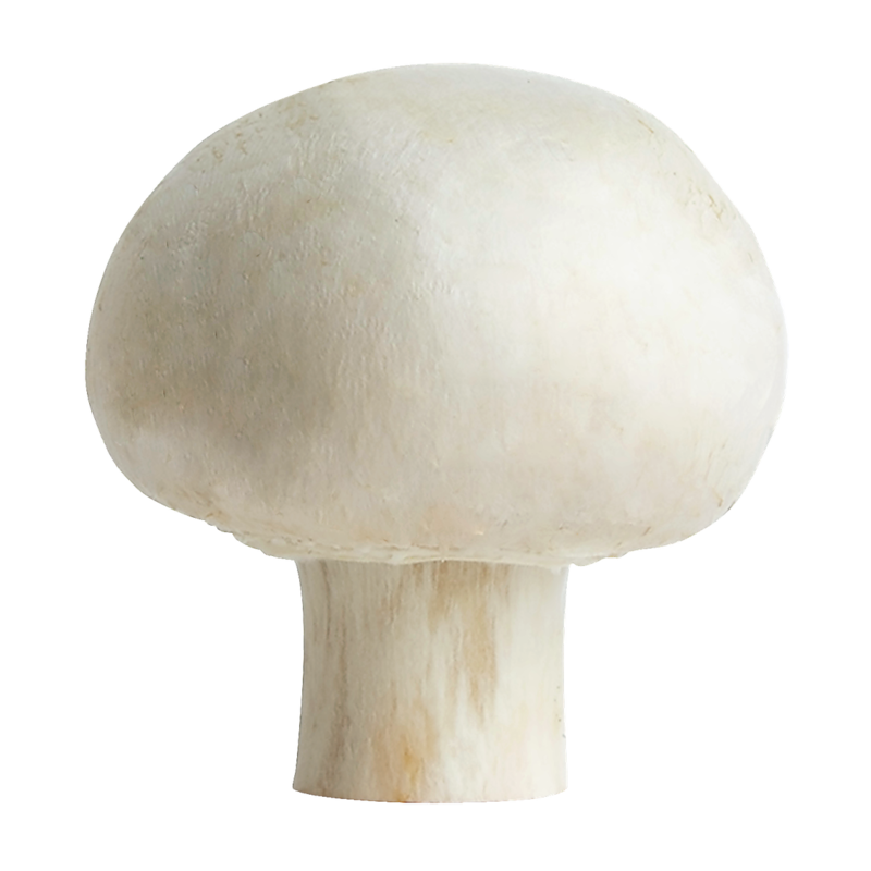 White Mushrooms