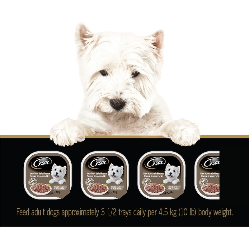 Dog Food, Filets in Sauce New York Strip Flavour Wet 