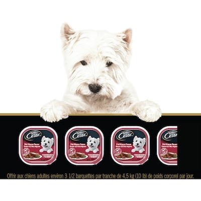 Nourriture humide pour chiens – pain classique en sauce saveur de filet mignon, barquette