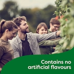 Knorr Pasta Sauce Mix Alfredo no artificial flavours - 37 g | Loblaws