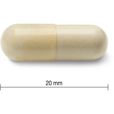 Glucosamine Regular Strength 500 mg, 360 Count
