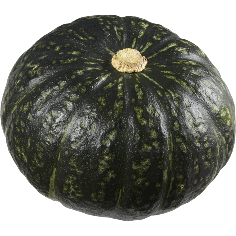 kabochaさん Kabocha Squash | Wholesale Club