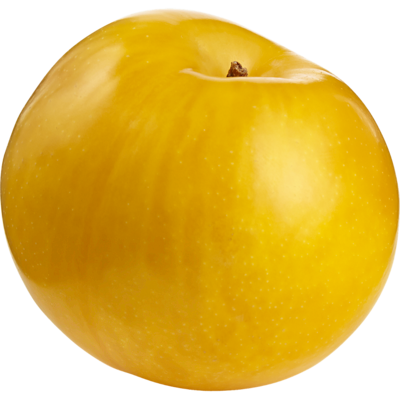 null Yellow Plums $11.00/1kg $4.99/1lb