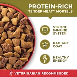 Purina ONE Microbiome Balance Lamb Rice Formula, Dry Dog Food