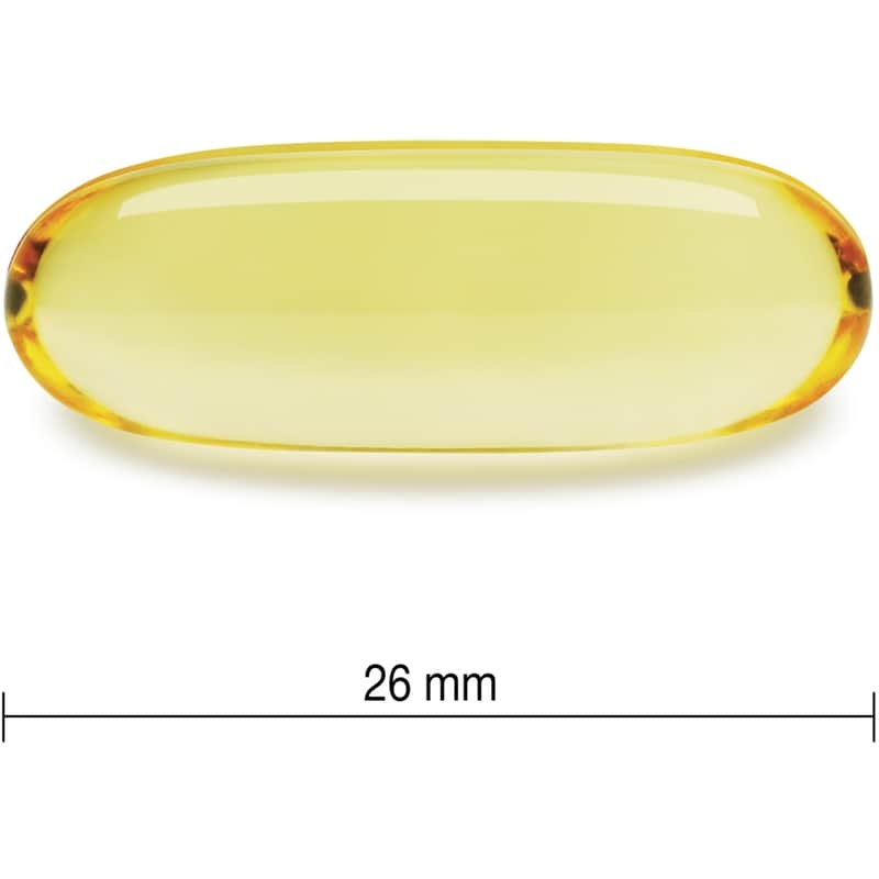 Wild Salmon and Fish Oils Omega-3 Complex 1,000 mg