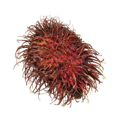 null Rambutan $13.21/1kg $5.99/1lb