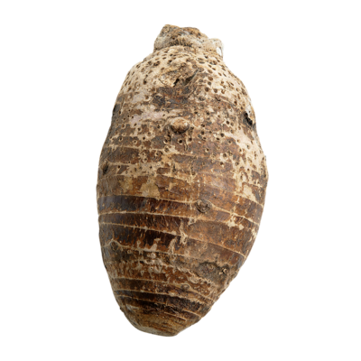 null Taro Root, Medium $12.10/1kg $5.49/1lb