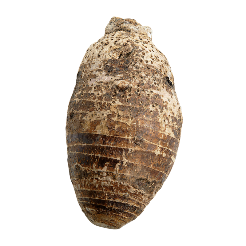 Taro Root, Medium