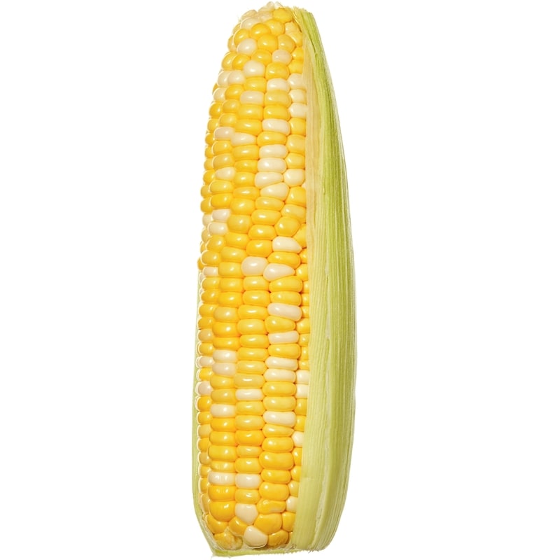 Sweet Corn