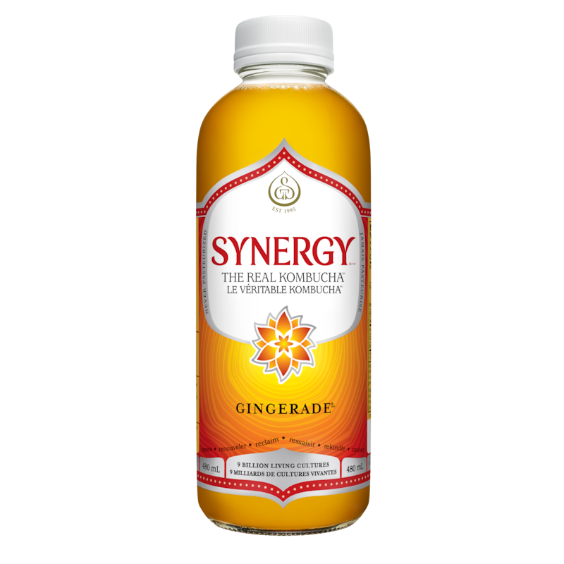 Synergy The Real Kombucha Gingerade