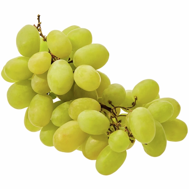 20425775001_en_front_v3_800.png