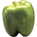 Poivron vert