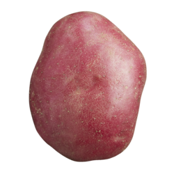 null Pommes de terre rouges 6,61 $/1kg 3,00 $/1lb