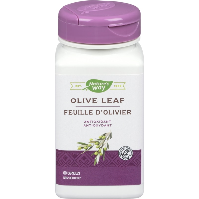 Olive Leaf 60 count