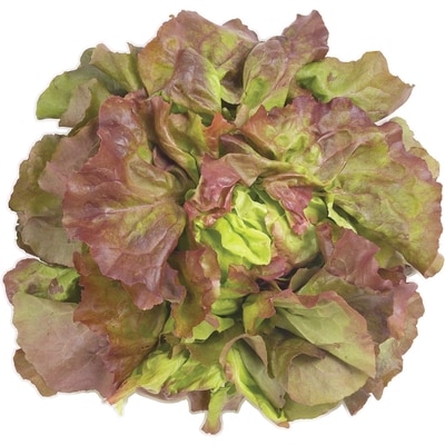 null Lettuce, Boston Red 1 ea, $2.99/1ea