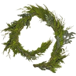 President's Choice Outdoor Holiday Garland 1 ea, $22.00/1ea