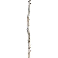 President's Choice Birch Pole 1 ea, $10.00/1ea