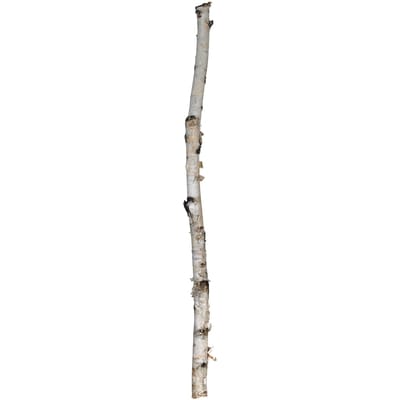 President's Choice Birch Pole 1 ea, $10.00/1ea