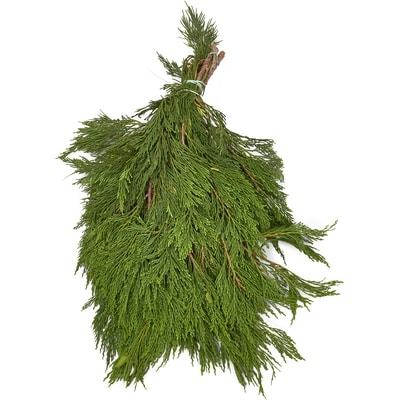 President's Choice Incense Cedar Bunch 1 ea, $10.00/1ea