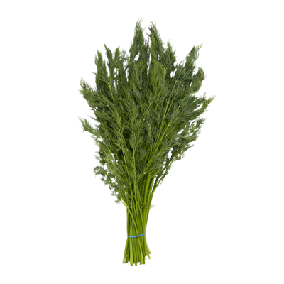 null Organic Dill, Fresh 1 ea, $3.99/1ea