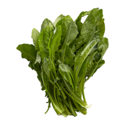 null Organic Green Dandelion 1 ea, $3.99/1ea