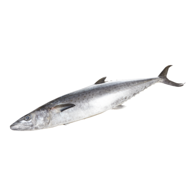 null Kingfish Whole $24.23/1kg $10.99/1lb