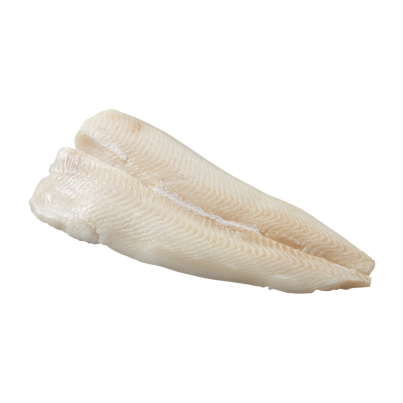 Turbot Fillet