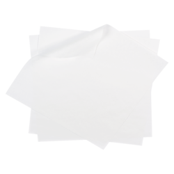 GFS Pizza Liner, 10 x 10 in 2000 ea, $0.02/1ea