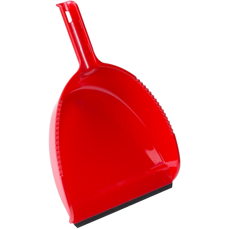 Dustpan Set