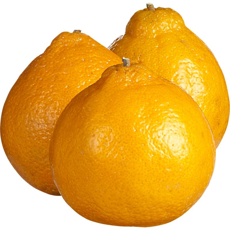Mandarin Sumo