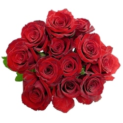 President's Choice Red Dozen Roses 1 ea, $26.00/1ea
