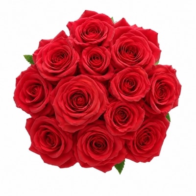 le Choix du Président Douzaine de roses rouges 1 ea, 26,00 $/1ch