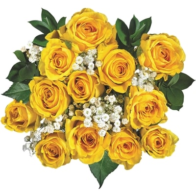 President's Choice Dozen Roses in assorted colours 1 ea, $25.00/1ea