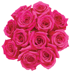 President's Choice Dozen Roses in assorted colours - 1 ea | Zehrs