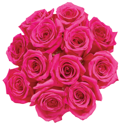 Dozen Colour Roses
