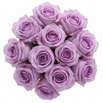 Dozen Colour Roses